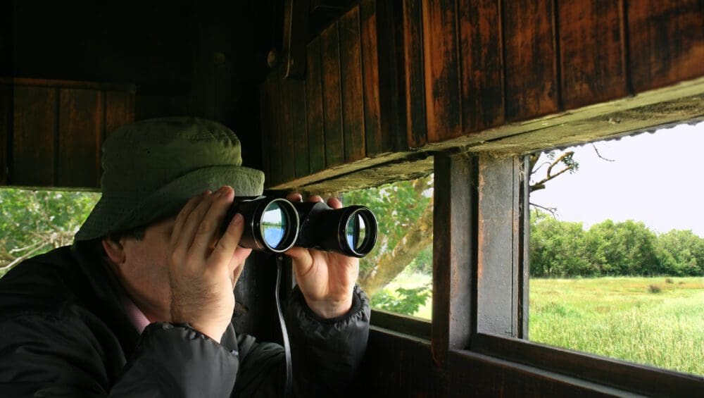 which Binoculars