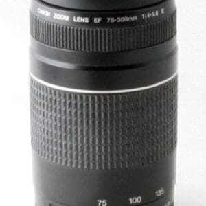 Canon EF 75-300mm f4-5.6 III