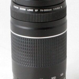 Canon EF 75-300mm f4-5.6 III