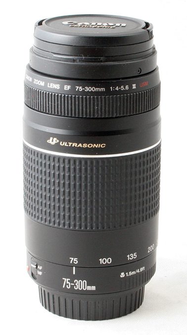 Canon EF 75-300mm f4-5.6 III USM